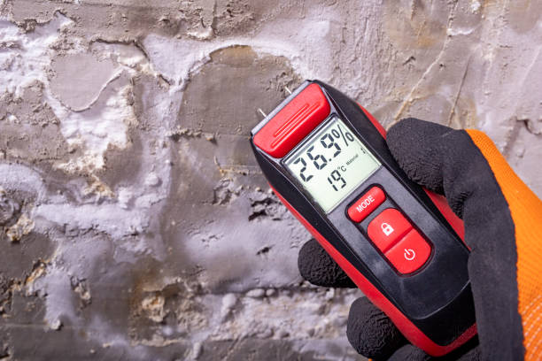Best Local Mold Removal Service  in Central City, NE