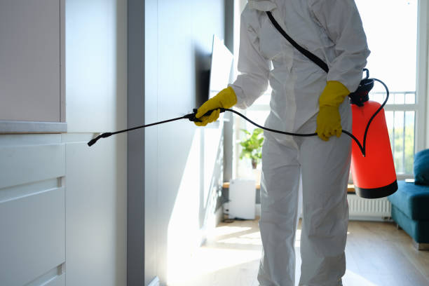 Best Mold Removal Process  in Central City, NE