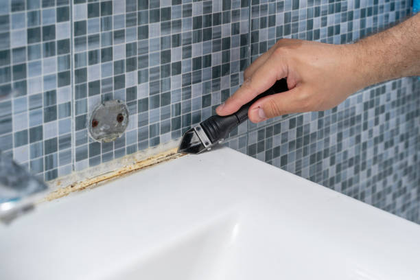 Best Mold Remediation Experts  in Central City, NE